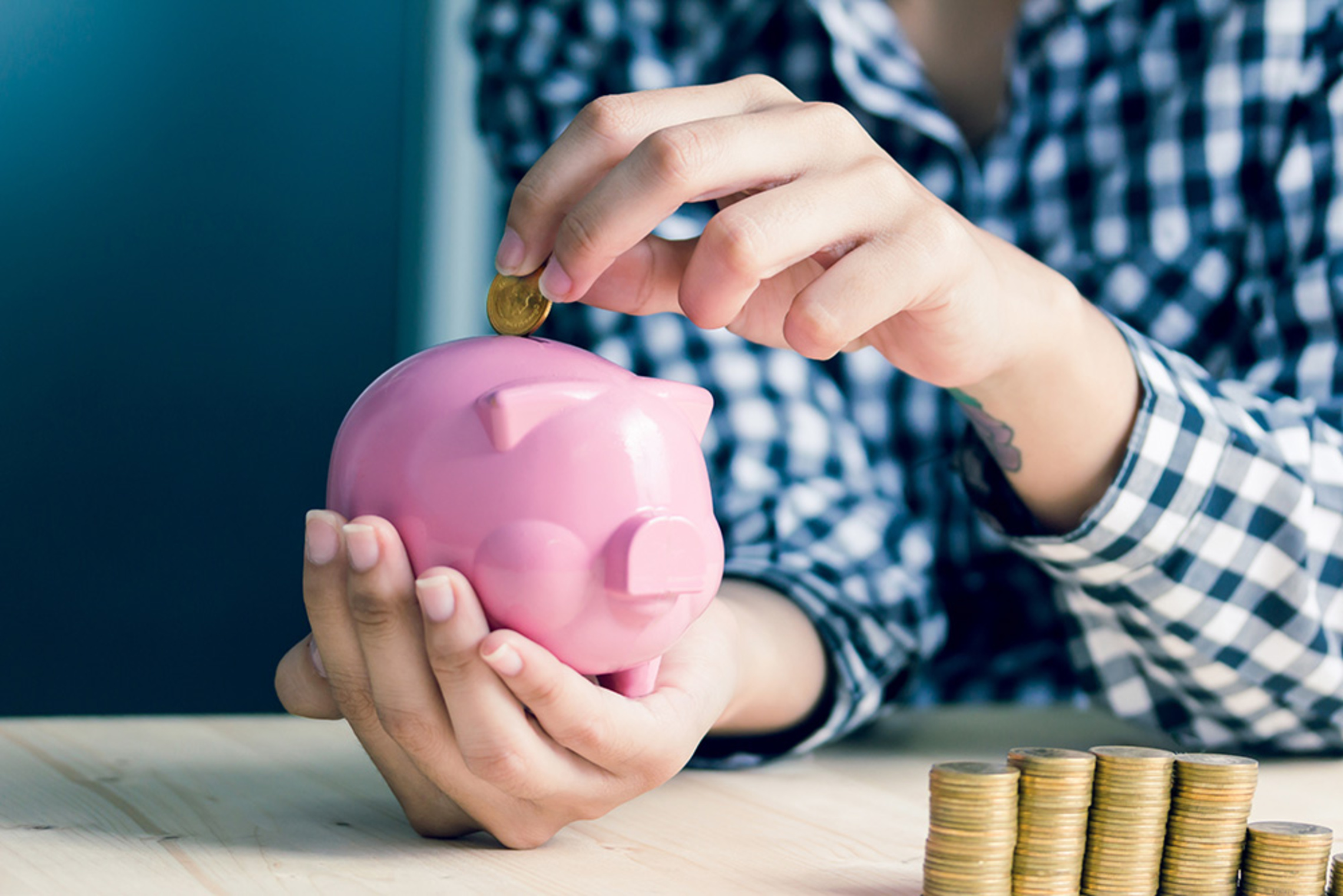 Fördermittel-Suche bei Elektrotechnik Witte in Selke-Aue