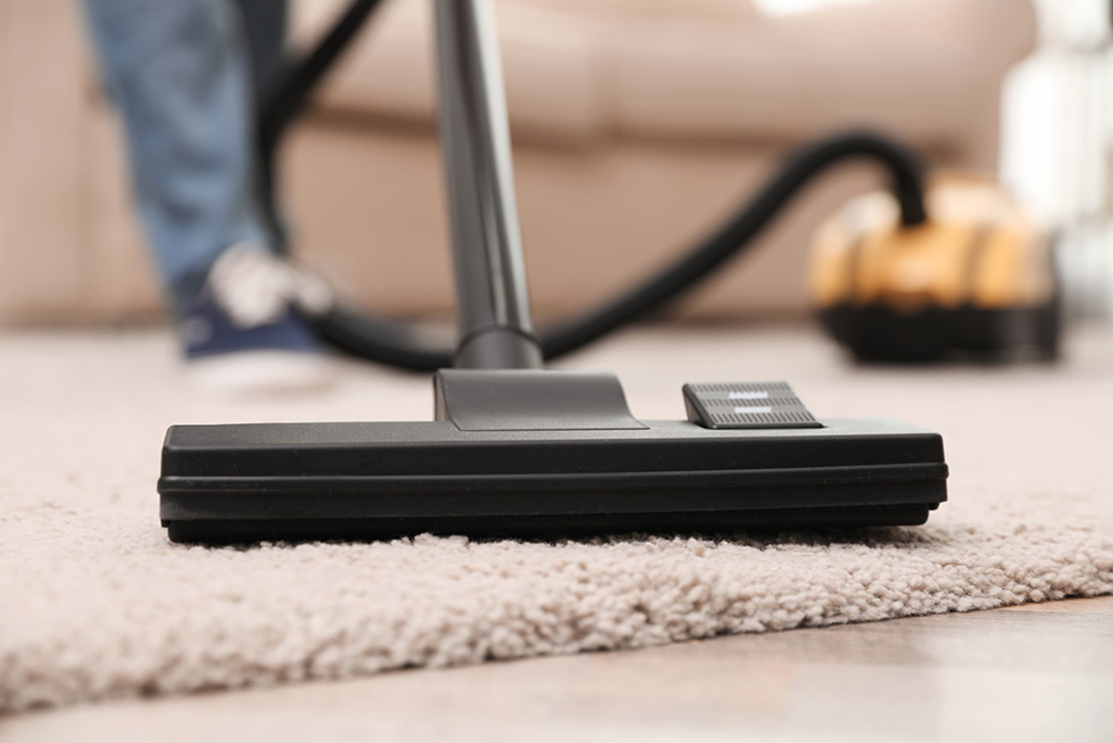 Kleingeräte bei Elektrotechnik Witte in Selke-Aue