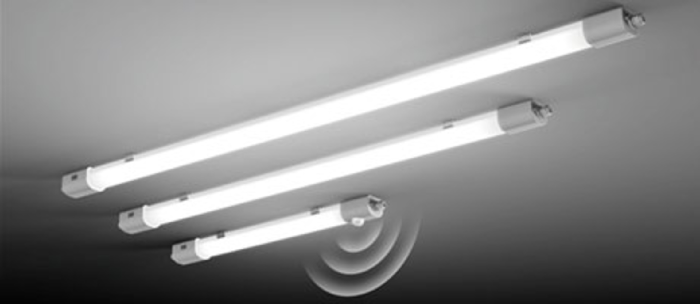 Planox Feuchtraumleuchten bei Elektrotechnik Witte in Selke-Aue