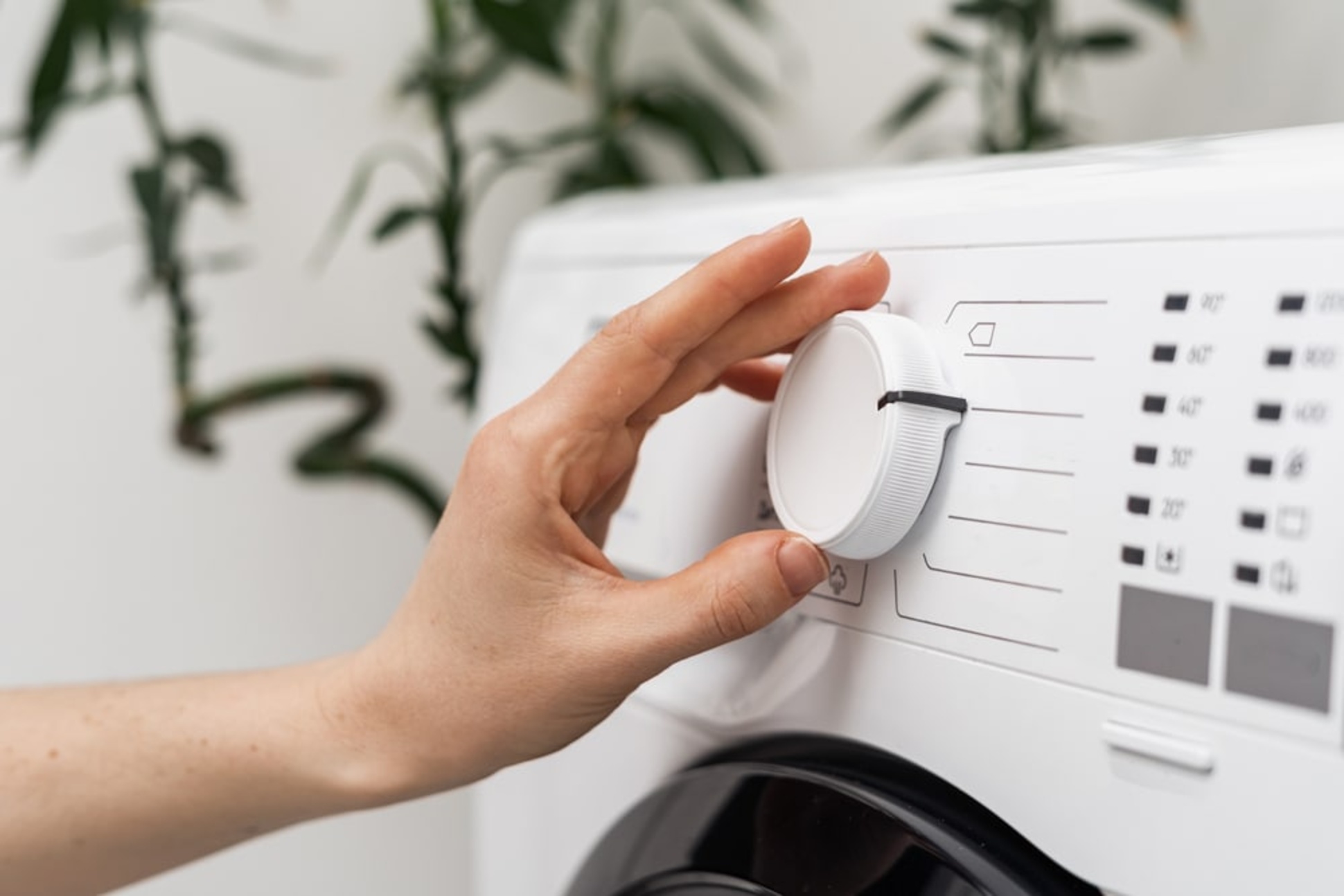 Hausgeräte bei Elektrotechnik Witte in Selke-Aue